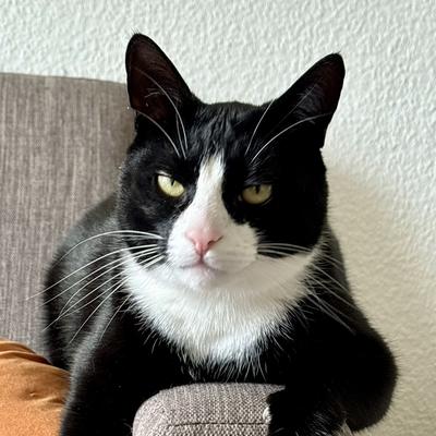 boki@hachyderm.io