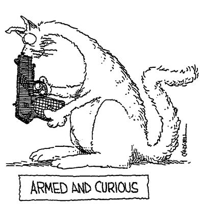 curiouserrandy