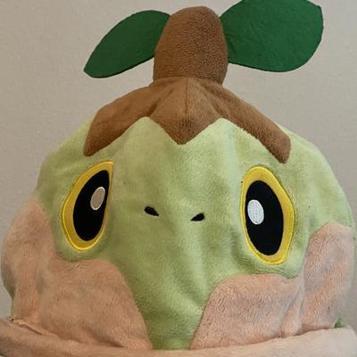 turtwig@hachyderm.io