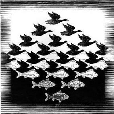 Keith Mitchell🏳️‍⚧️