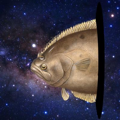 space_flounder@hachyderm.io