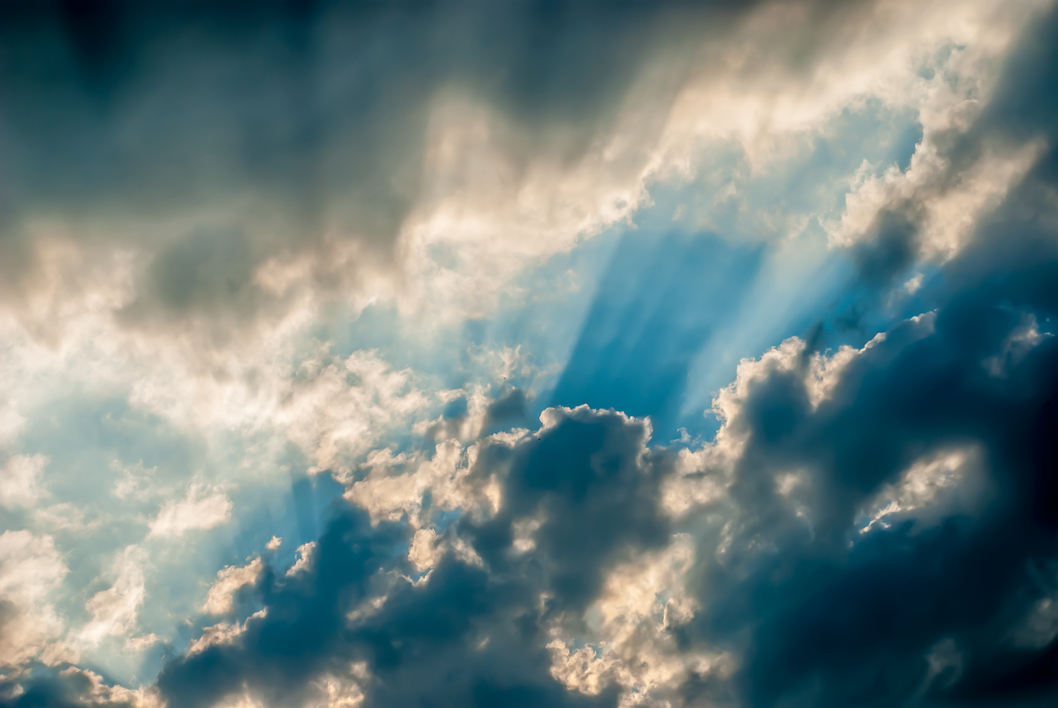 Header Image