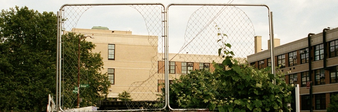 Header Image
