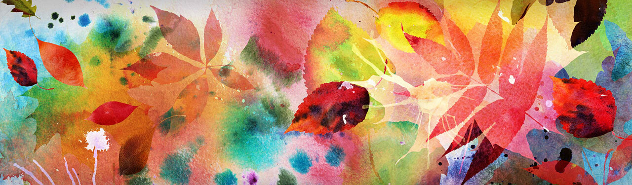 Header Image
