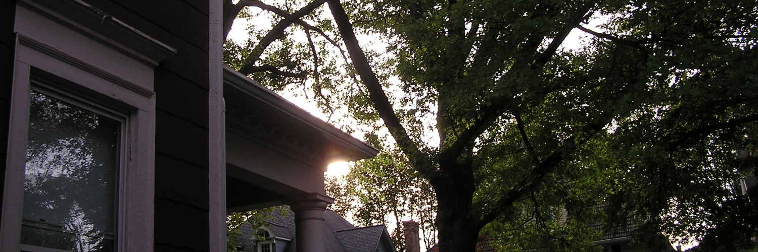 Header Image