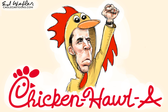 Insurrectionist Josh Hawley is a chicken