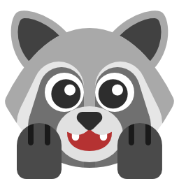 :raccoon_aww: