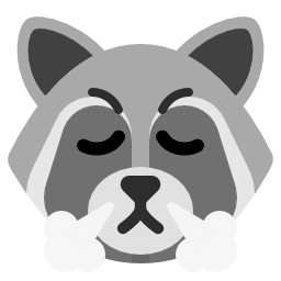 :raccoon_determined: