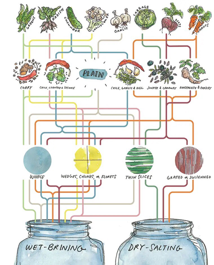 A chart describing the options of fermenting vegetables how to slice them and which method  Art of Fermentation by Sandor Katz