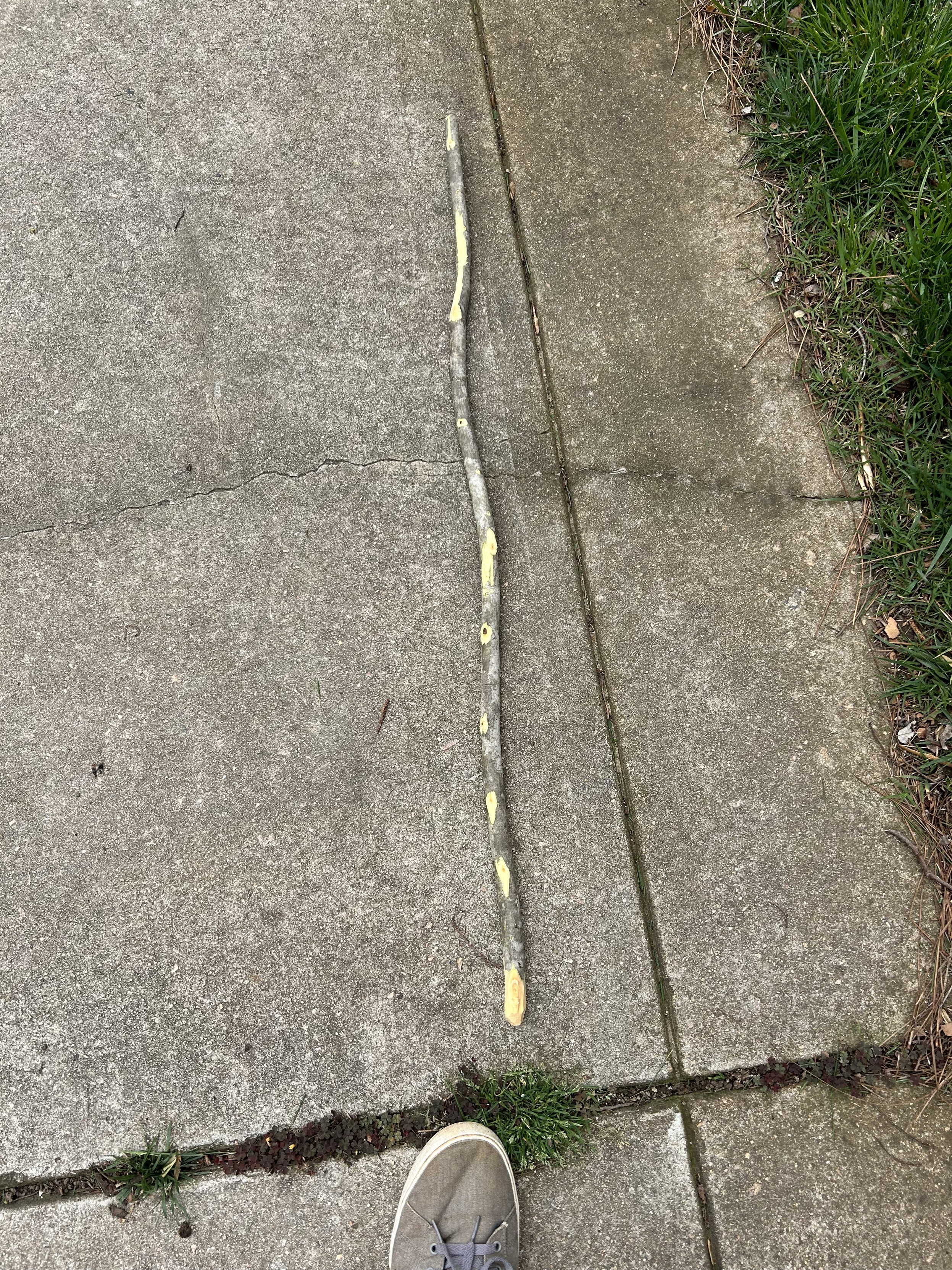 A handcrafted quarter staff made from American beech