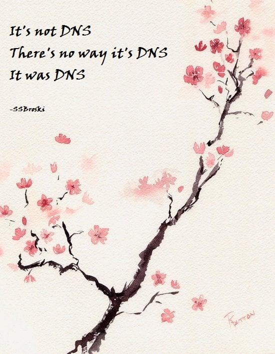 The Haiku :tm:
It's not DNS
There's no way it's DNS
It was DNS