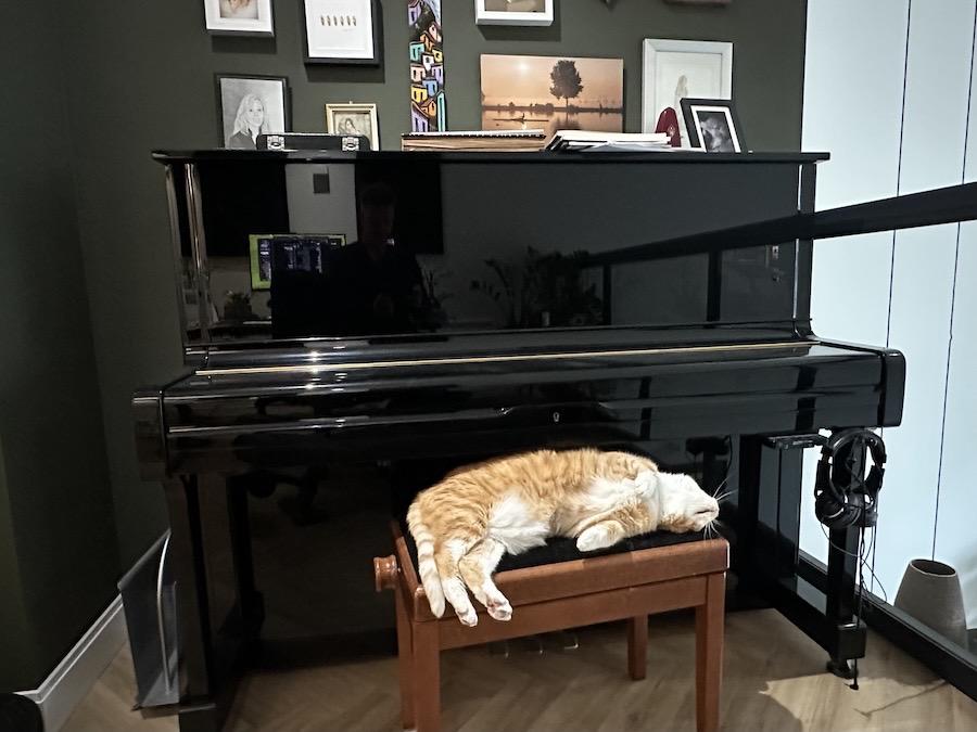 A red cat sleeping on the piano bench in front of a black piano.
