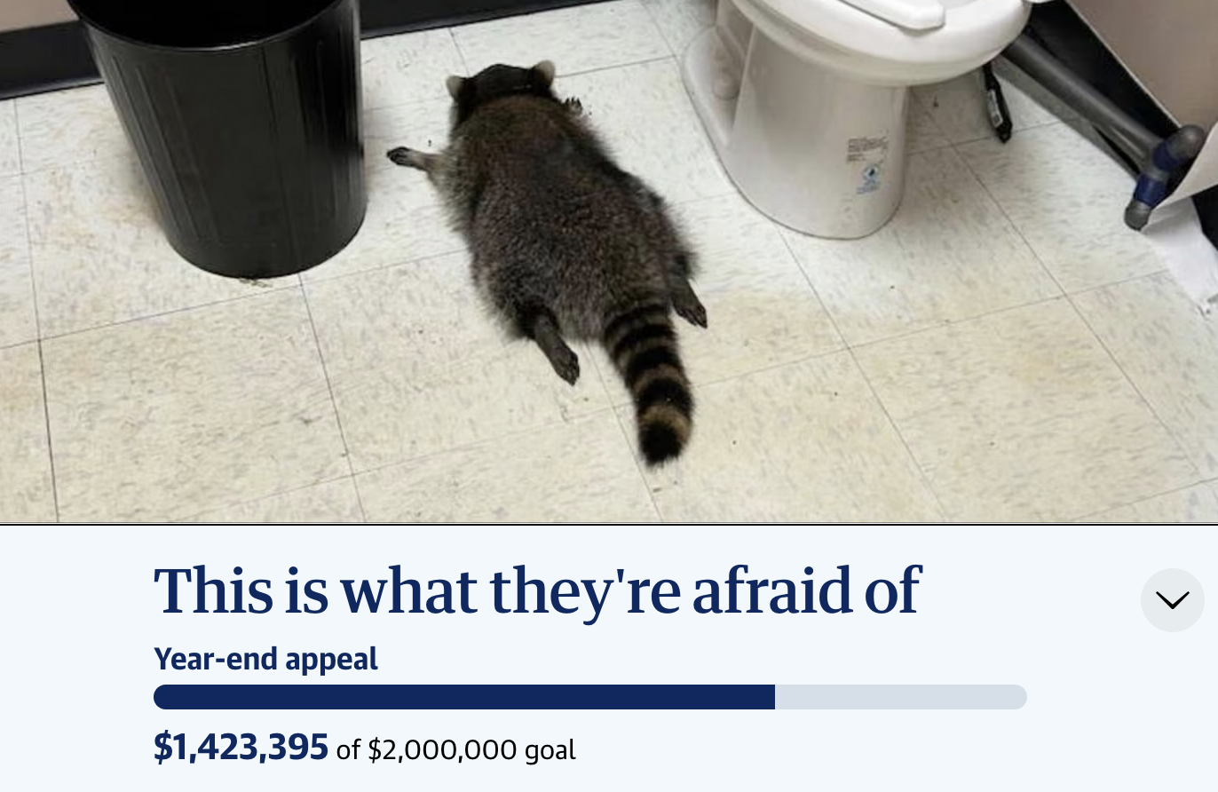 Screenshot of a news article half-covered by a fundraising banner. The top half of the page is a picture of a passed-out raccoon in a bathroom. The bottom half reads (very dramatically) "This is what they're afraid of" and has a bar showing they've raised $1.4M out of their goal of $2M.