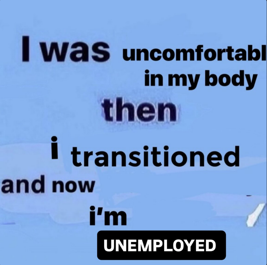 image saying "I was uncomfortable in my body then i transitioned and now i'm unemployed"
