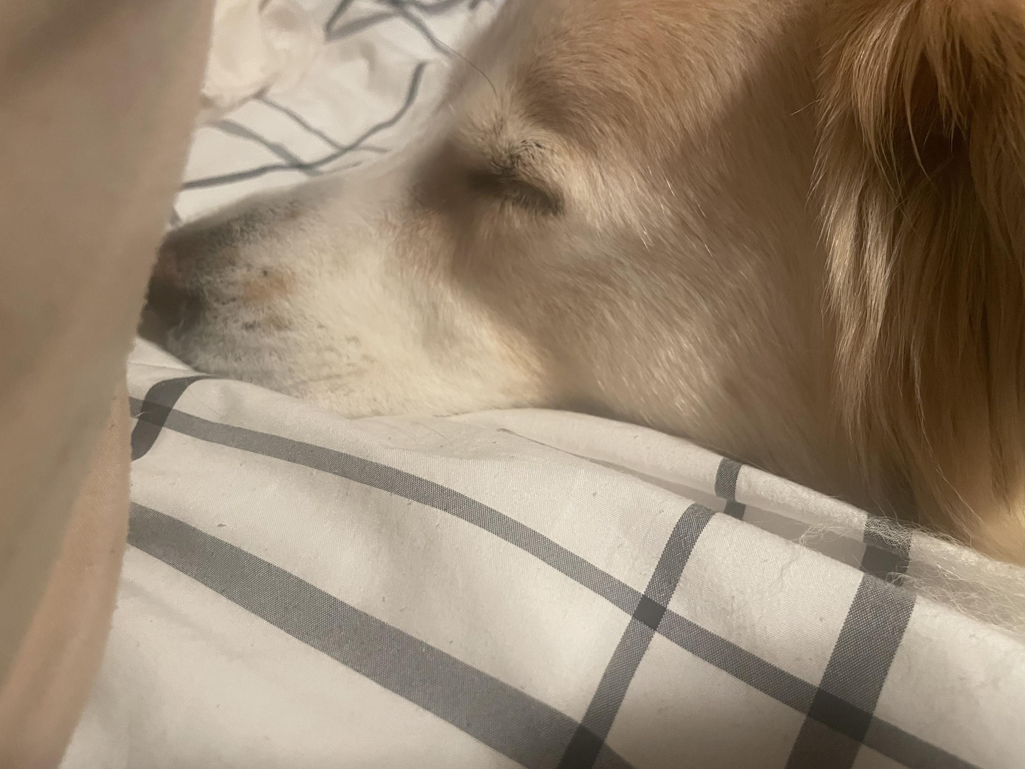 Sorry, no caption provided by author