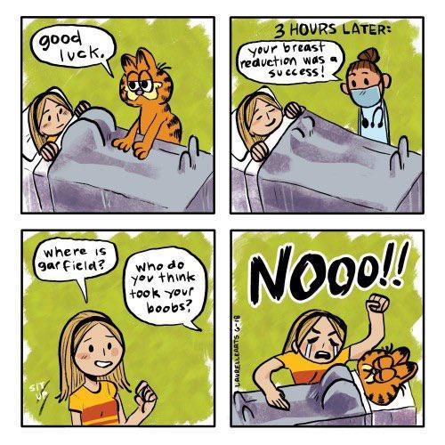 That one Garfield meme where a girl goes in for breast reduction and then finds out Garfield took her boobs and now has huge honkers