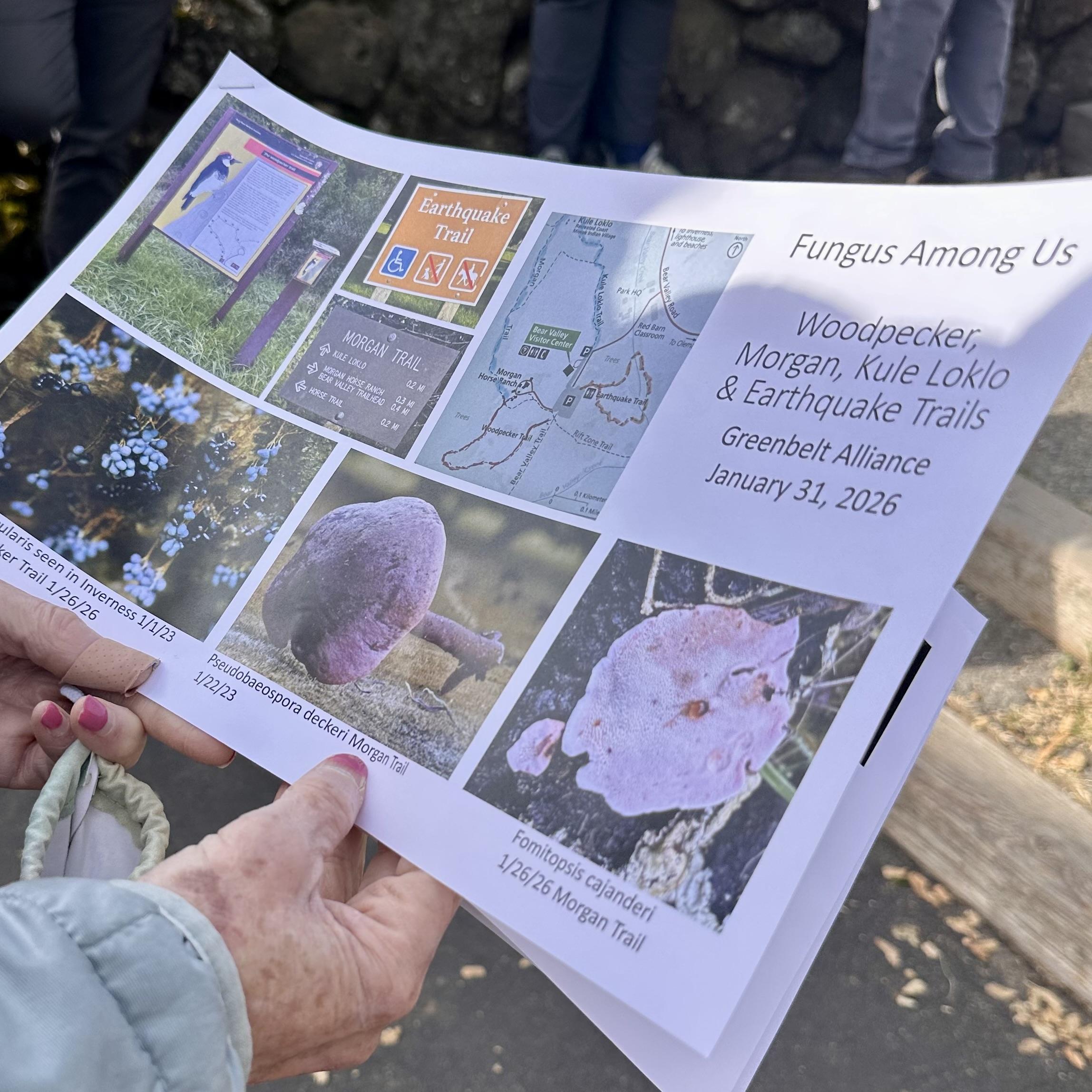 A photo of a color handout with photos of all the different mushrooms we could see at this event and their names