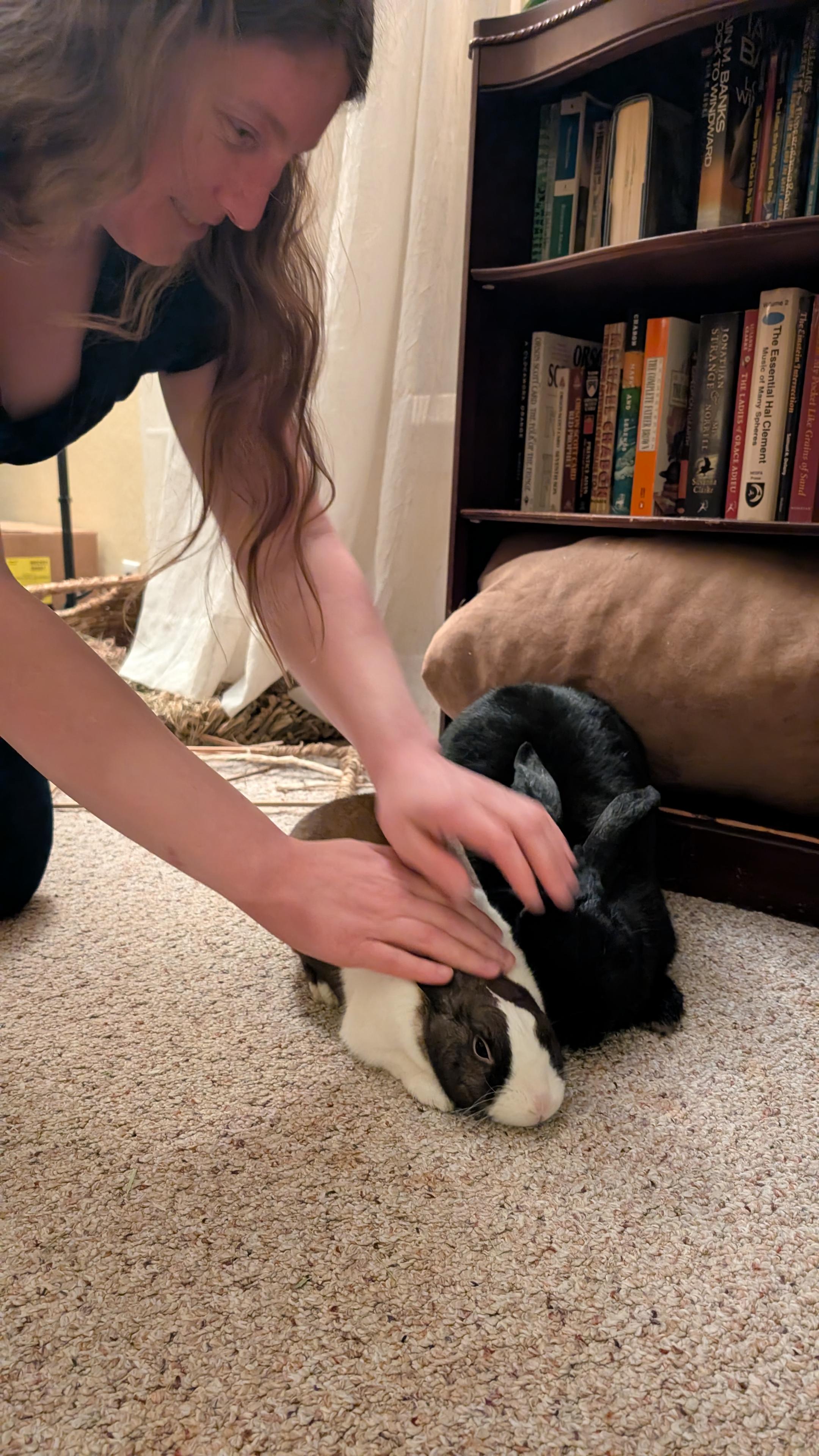 A dragon smiling as she pets two bunnies, one small Dutch bunny and one big black bunny