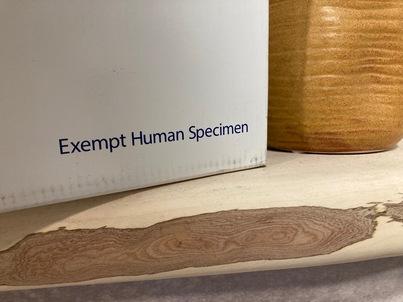 White box sitting on a wood shelf.  The box reads "exempt human specimen".