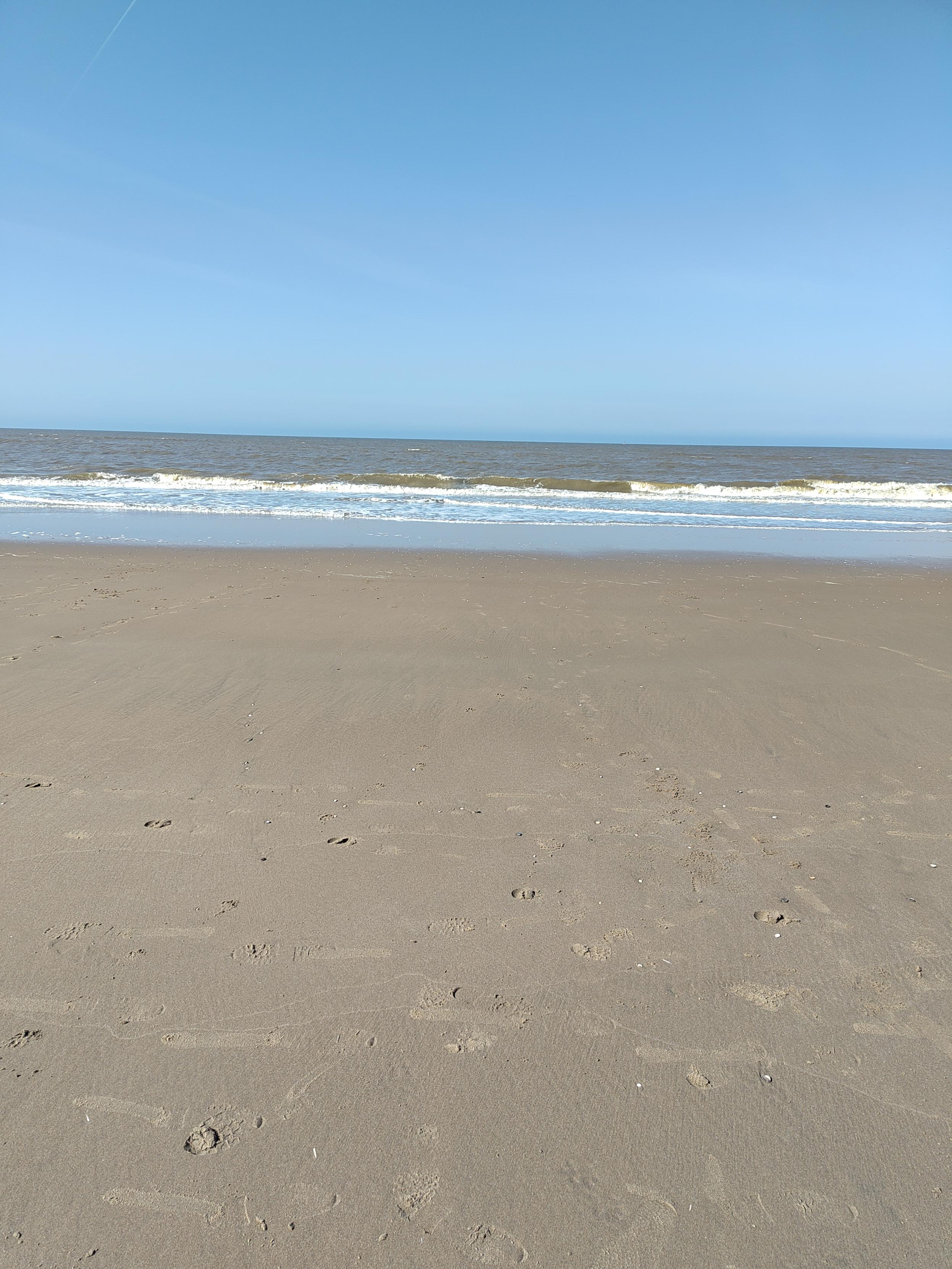 A picture standing on the beach