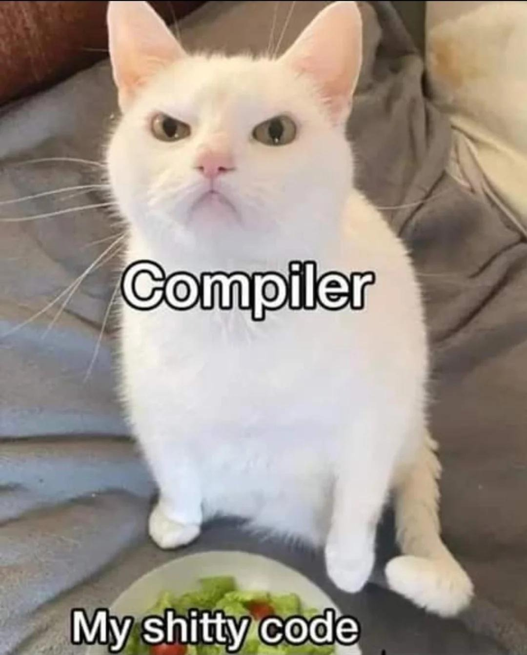 Meme: A rather annoyed looking white cat, labeled "Compiler" is seen looking angrily at the human photographer with a plate of salad below labeled "My shitty code".

Source unknown.