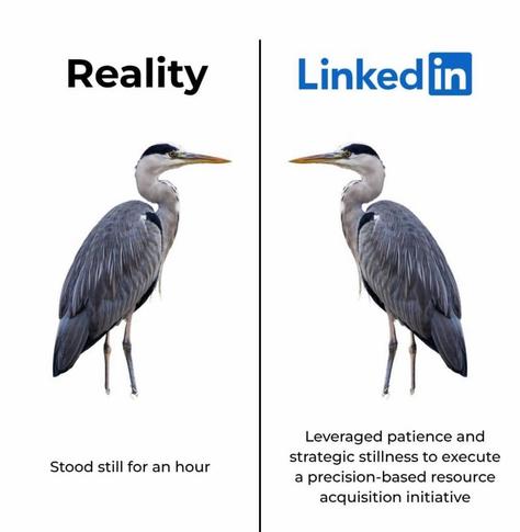Posted media