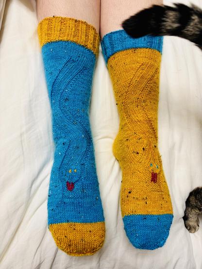 A pair of socks, one mostly blue with a yellow toe and cuff, and the other yellow with a blue toe and cuff. Each is knit with a snake formed by the texture of the fabric, and the snakes are sticking out their wee tongues. The tip of a cat’s tail and paw peek into the right side of the frame.