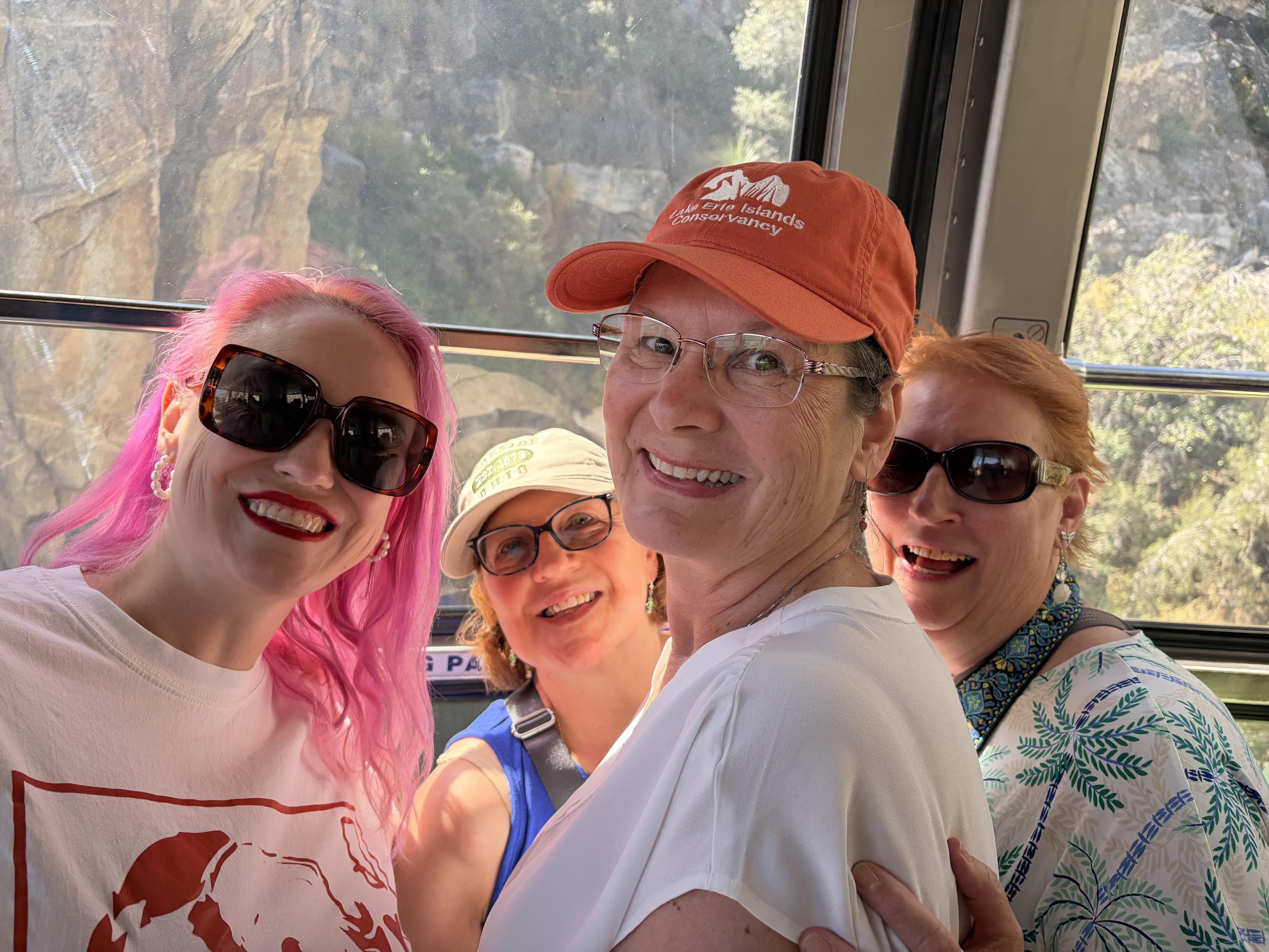 Same pink haired woman with three of her moms in a gondola