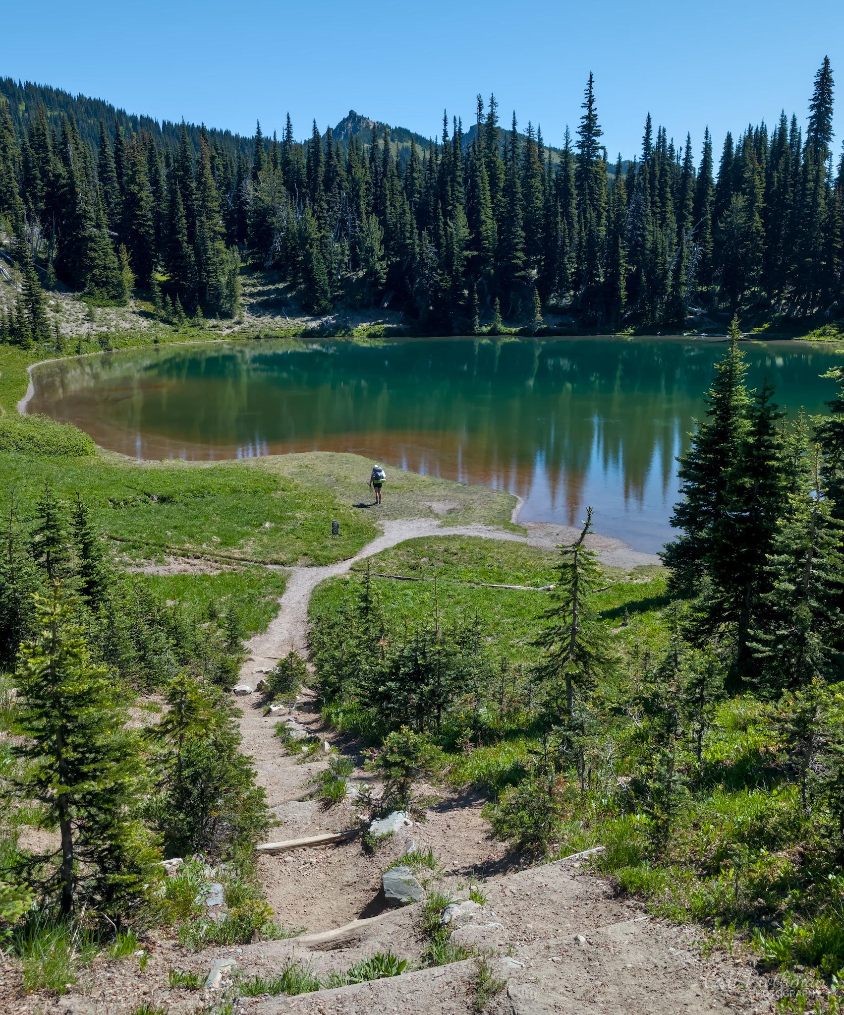 A narrow dirt trail descends through green alpine vegetation toward Shadow Lake at Mount Rainier National Park. The lake’s dark green and blue water reflects the tall evergreen trees lining the opposite shore. A lone hiker stands near the water, adding scale to the broad landscape. Rocky ridges rise above the forest beneath a clear blue sky. The scene feels peaceful, inviting, and wonderfully remote.