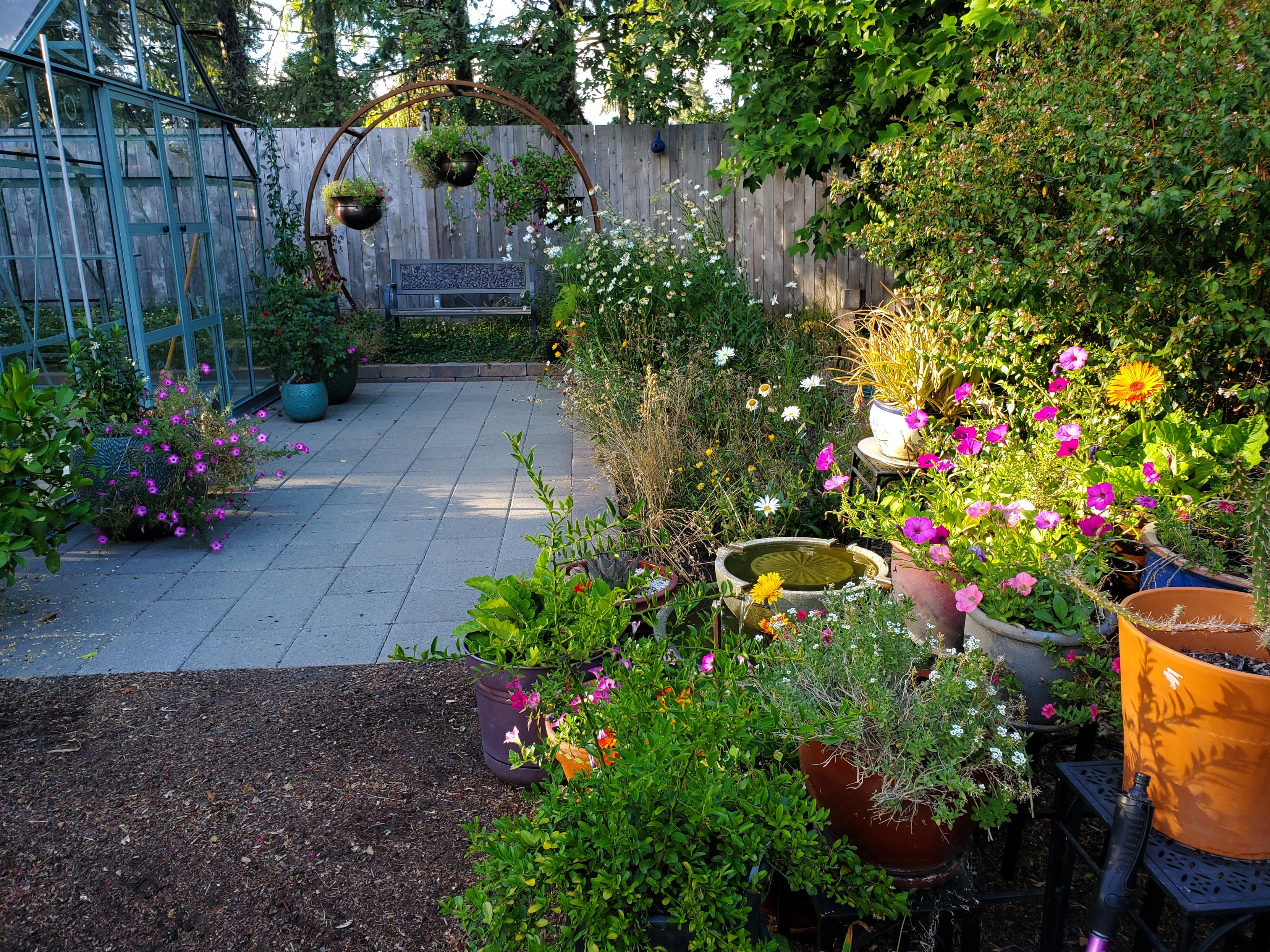 Photo taken while admiring the potted plants placed around the little, two tiered fountain. That scene is in the front right in the bright sun. The rest of the scene takes in the front of the glass greenhouse with a paver area and moon gate style arbor back to a cedar fence. More potted plants are on the patio and baskets hang from the arbor.