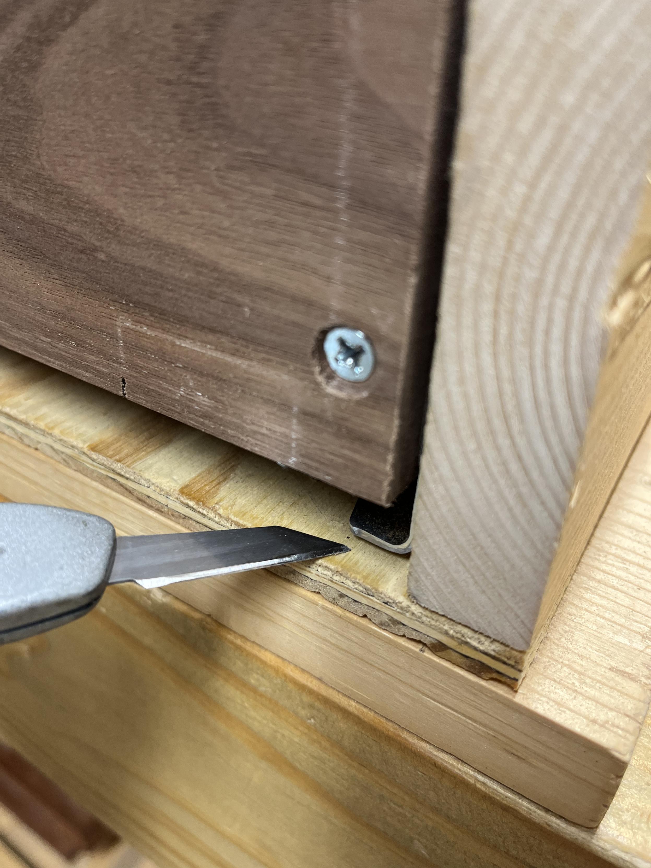 The face of a walnut board in a box. A small knife is pointing at a small gap at the bottom where a metal piece is slightly revealing itself.