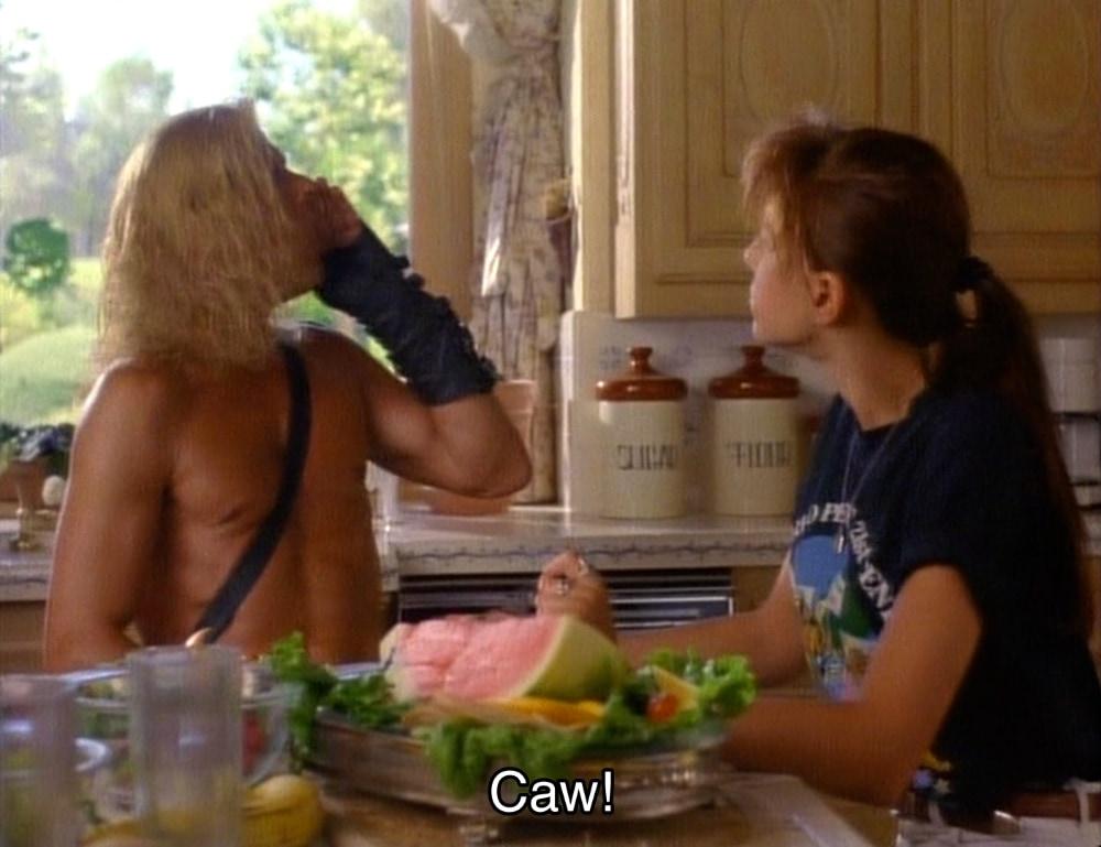 "Caw!"
- Dar, Beastmaster