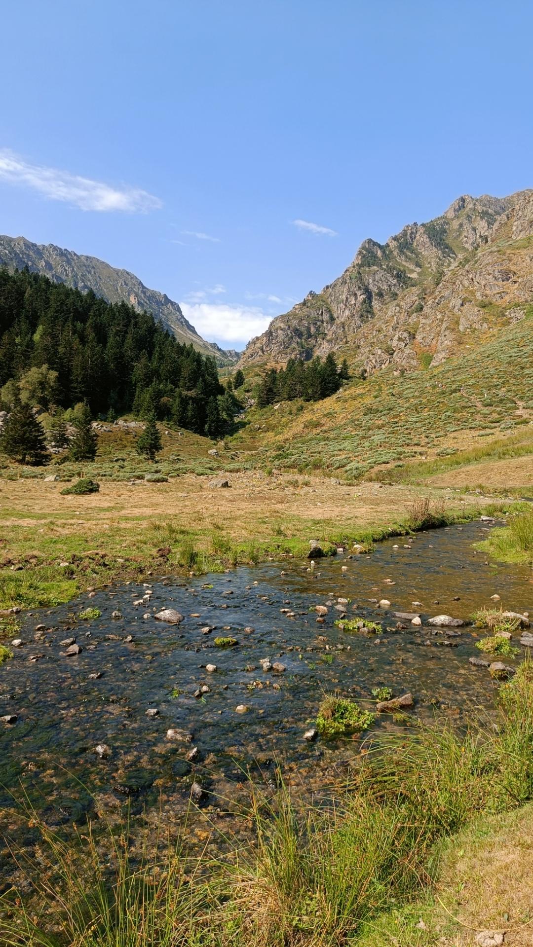 Close-up view of a small river. 
You can see the pebbles and the riverbed through the clear water.
The mountain is in the background.