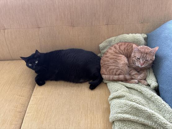 Posted media