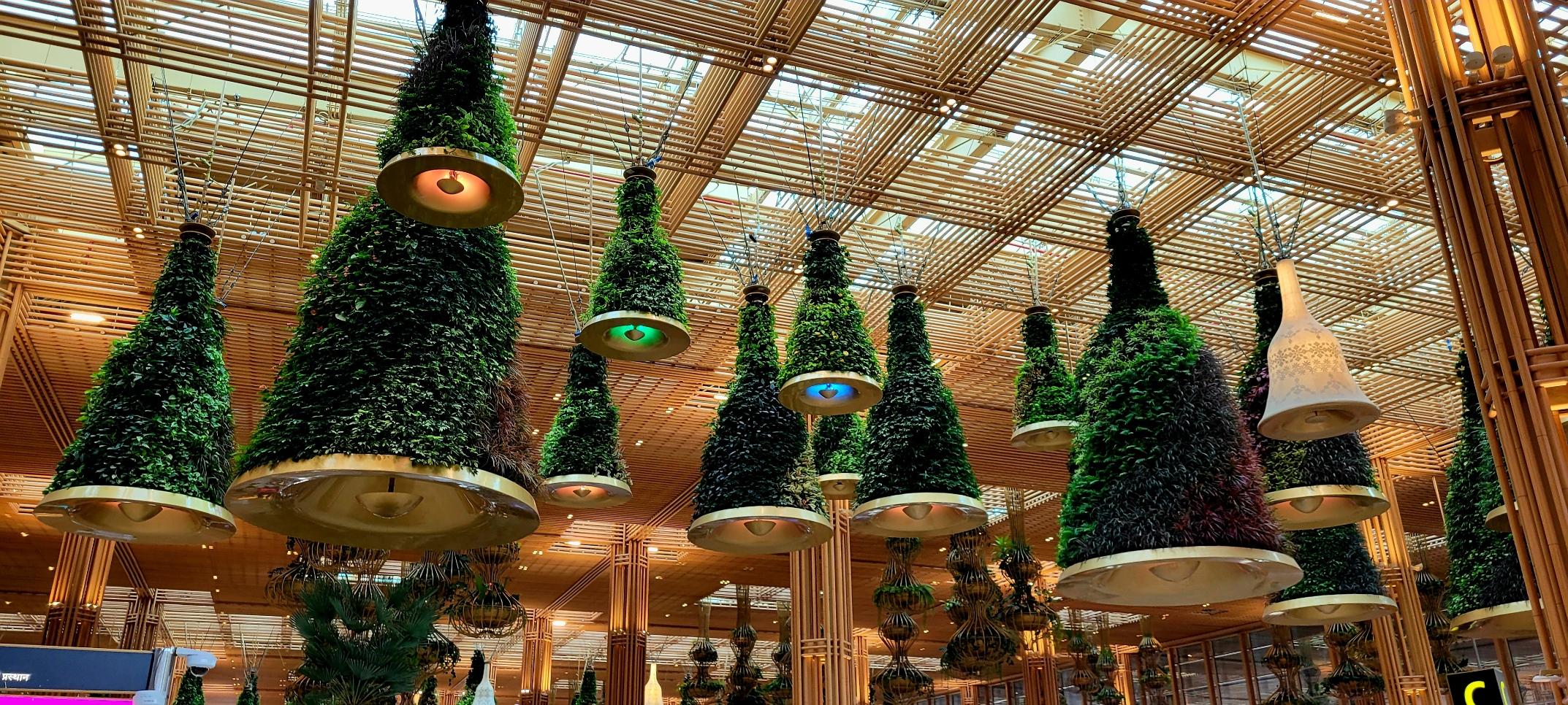 Ceiling and green chandeliers that look like conifers at an airport terminal (Terminal 2, Bengaluru India). The ceiling is a mesh made of bamboo stems.